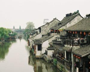 组装机械盔头龙2
